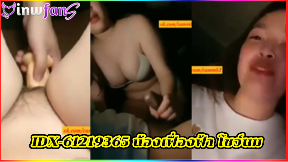 IDX-61219365 น้องเฟื่องฟ้า โชว์นม กลุ่มลับ vk ดิลโด้ เย็ดหีกระแทก เสียวได้อารมณ์ ยั่วเย็ดร่อนเอวเก่งสุดๆจนน้ำเงี่ยนไหลแตก